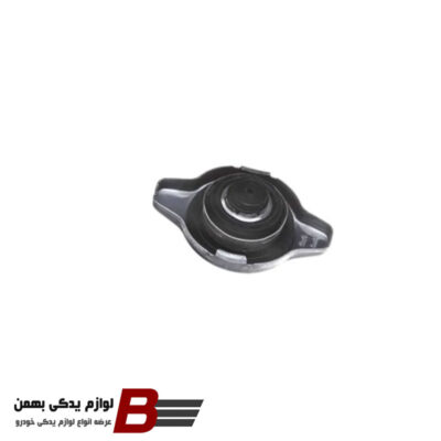 درب رادیاتور لیفان X50