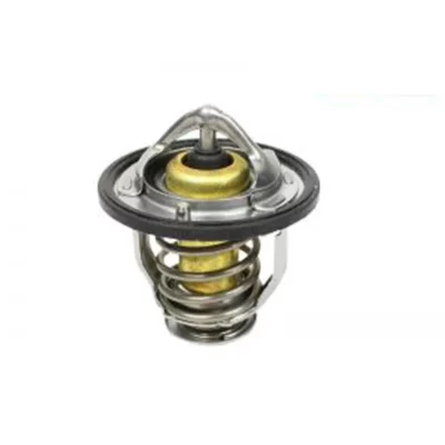 ترموستات کیا کارنز